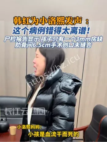 韩红痛批小洛熙事件